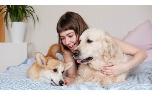 Mantén tu hogar libre de pelos y pelusas: Características esenciales en aspiradores para hogares con mascotas